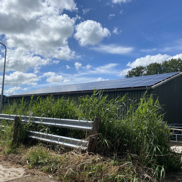 Zonnepanelen agrarisch